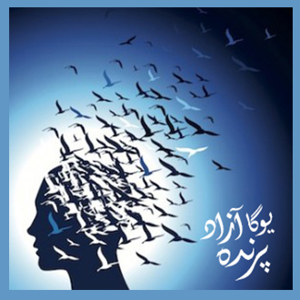 نماز عشق زندگی آگاهانه باکتی یوگا کارما یوگا باشگاه یوگا پرنده آزاد کیوان شاهبداغی